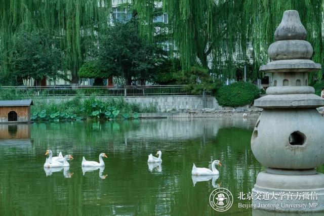 高清大图来袭！北交大夏日限定美景，请查收→