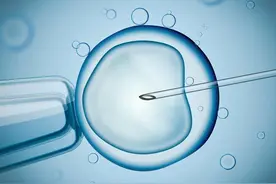 生男生女，决定权到底在谁？做试管婴儿真能选胎儿的性别吗？图片