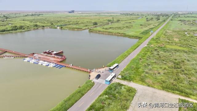 黄河口七夕漫游指南：与你赴一场湿地飞鸟与落日的浪漫之约