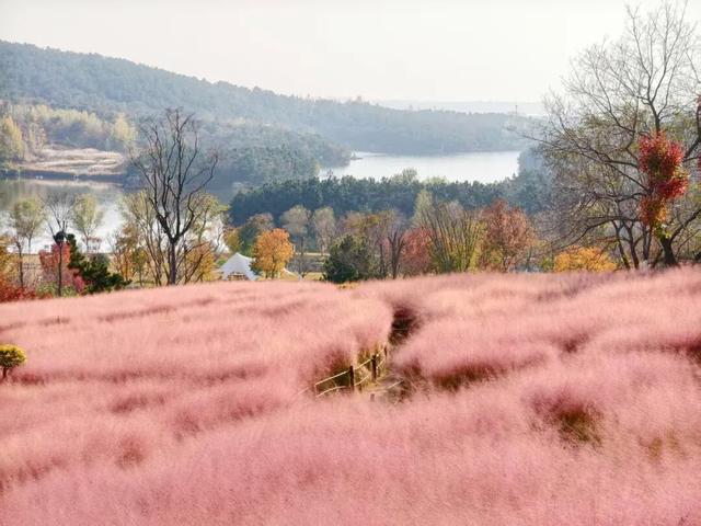 田曦薇、胡一天打卡西海岸！约你来玩！