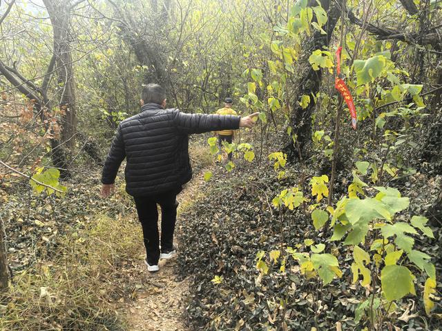 南京幕府山（东线）郊野徒步