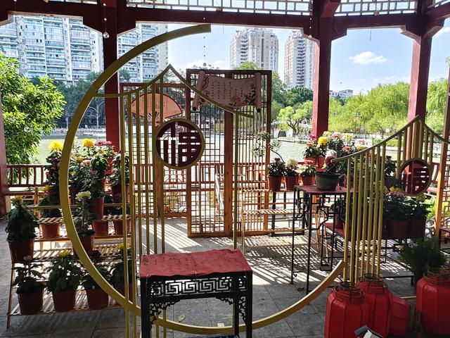 福州西湖公园2025年菊花展