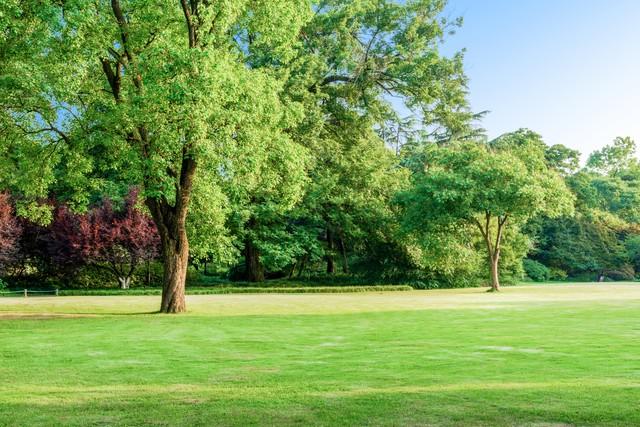 男人跟你吵架后，之所以敢不低头，不道歉，就是抓住了这三个软肋