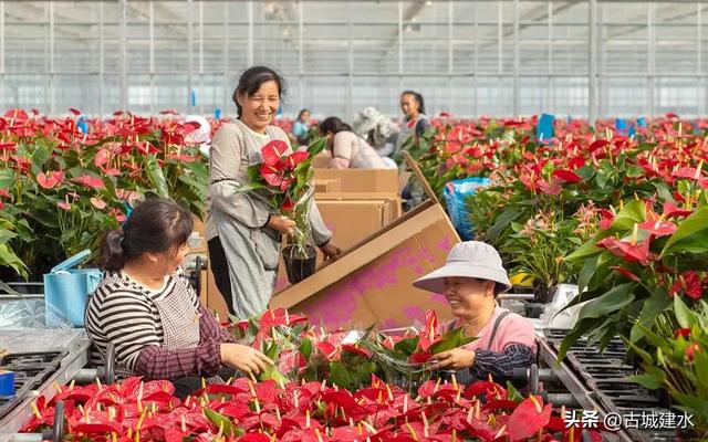 今天，红河州68岁了！
