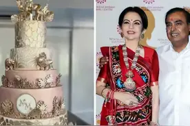 印首富偏爱小儿子实锤了！带儿媳参观公司，单跟小儿一家庆宝石婚图片