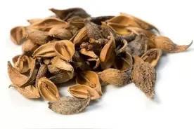 中药之秘在于量：连翘60g，前列腺炎恢复！图片