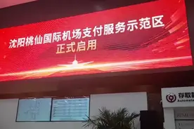Very City！热度飙升！沈阳这样“圈粉”海外游客图片