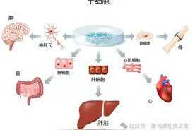 全球第七例治愈者！HIV感染者经干细胞治疗后超5年无病毒图片