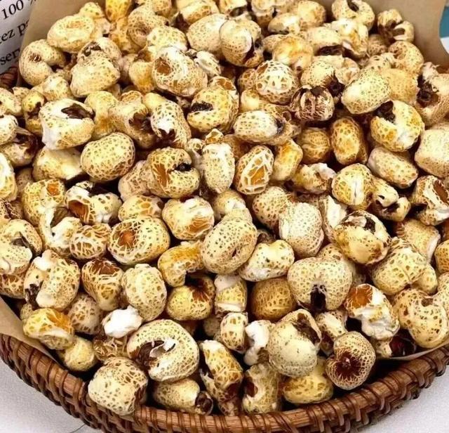 白鹿暖阳 原上慢享 白鹿原影视城首届冬日休闲季 将于11月27日暖心启动~