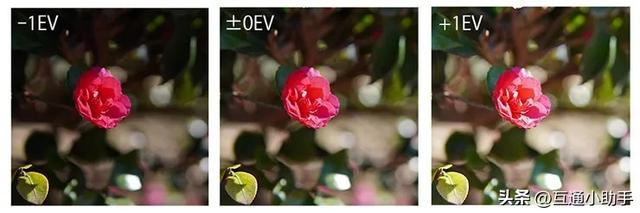 什么是相机的曝光补偿？详解其使用方法与适用场景！