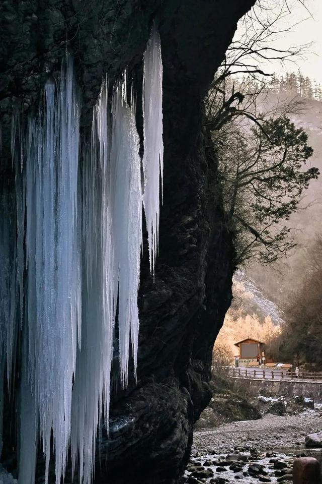 别等春天！陇南的冬日密语里，藏着限定版春日烂漫