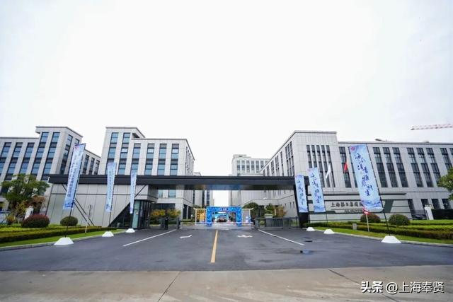 这座“非同一般”的博物馆亮相东方美谷核心区，打造文旅融合新地标