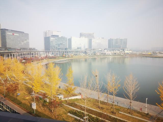 2025北京到海南行程第三天：从郑州CBD到黄帝故里，三千年的穿越