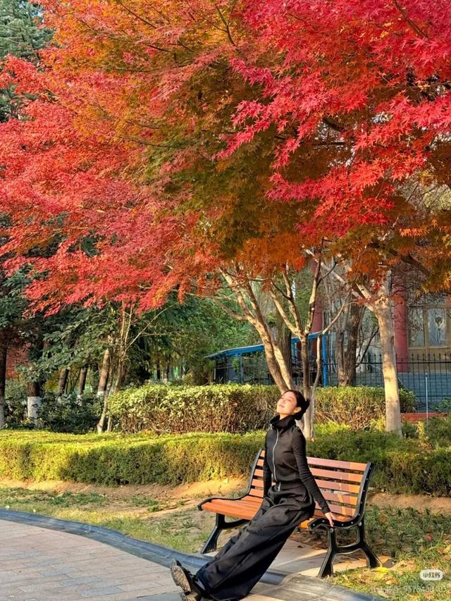 临沂这抹红，醉了秋日山水