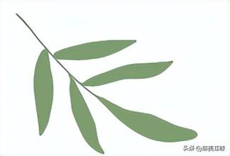 来邛崃桑园镇！赴一场“橙黄橘绿”的甜蜜邂逅