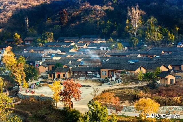 秋色正斑斓！信阳赏秋打卡地推荐