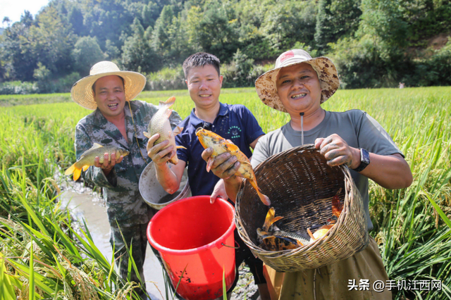 来江西广昌赴一场秋意之约