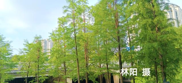 福州东二环自然环境太美了