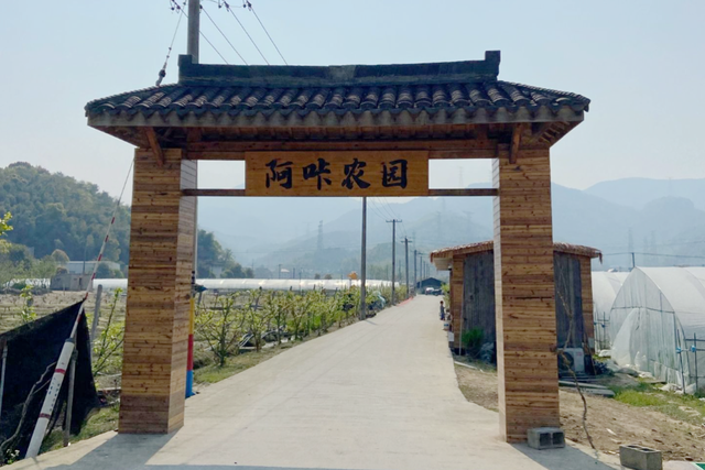 五一赴义桥｜三条专属游玩路线，解锁假日最惬意的打开方式