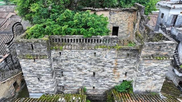 探秘温贯炮楼：深藏于高要乡间的古代军事堡垒