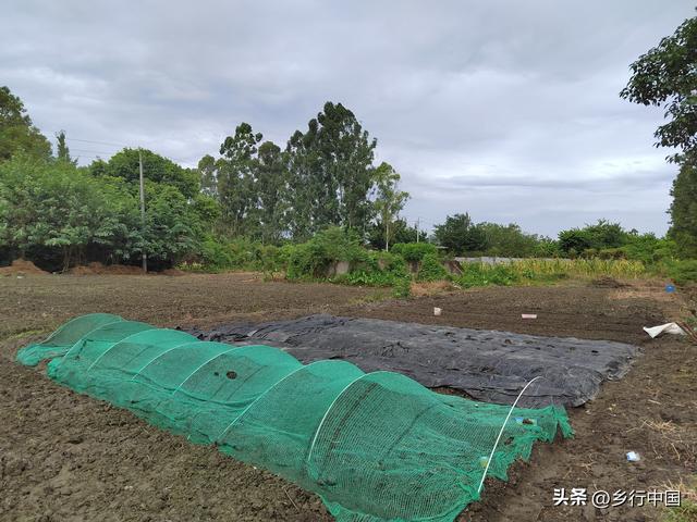 国庆中秋七天乐：到双流优优外婆农场过一个超治愈有温度田园假期
