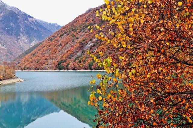 四川这个地方的初冬，是彩色的！