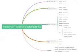 建议收藏！2024年版肺癌常见靶点突变靶向药汇总！图片