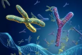 男性的时间不多了！科学家：Y染色体正在消失，未来男性将灭绝？图片