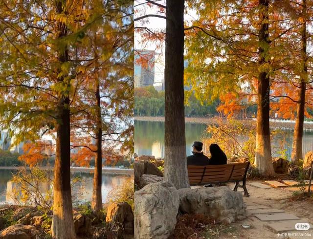 原来真的有城市，可以一天24小时都快乐~（2）