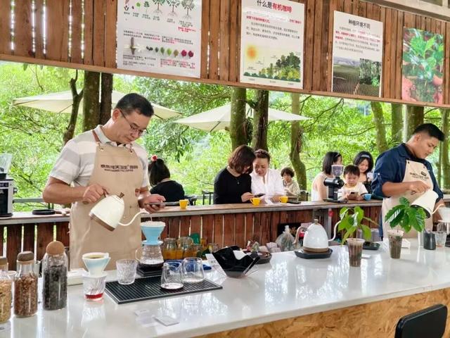 思茅打卡全攻略！这些宝藏点位 茶咖食宿玩一站式承包 | 有一种叫云南的生活