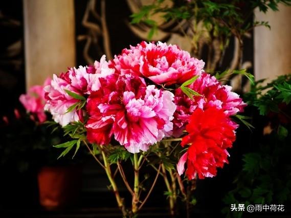 晚年苦不苦	，全看七十五：这4手备好，余生安稳舒心