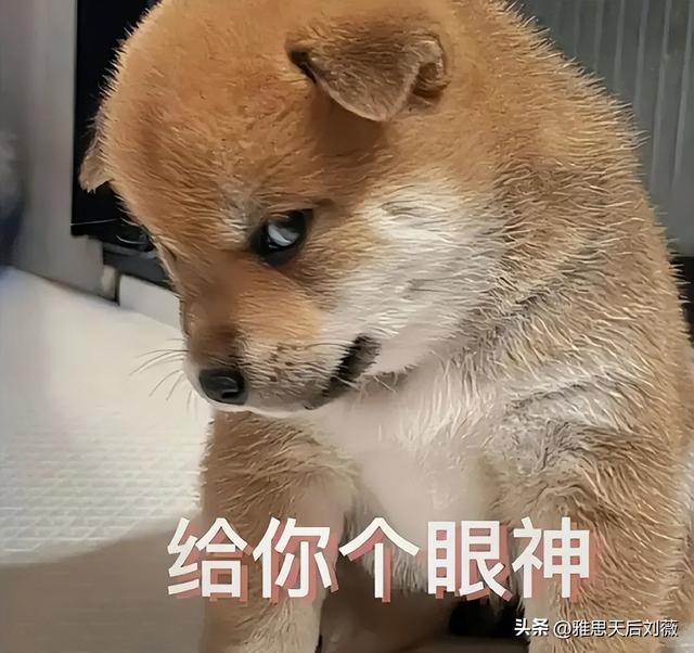 最易拿高薪的十大英文名被曝光了！留学生全军覆没！