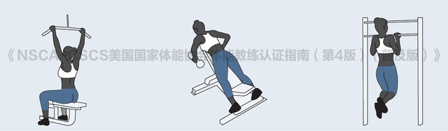 科学设计训练计划，5分钟带你搞懂8个训练变量到底怎么科学搭配！