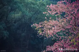 股票分红以后多久可以卖？时机选择与税务策略全指南图片