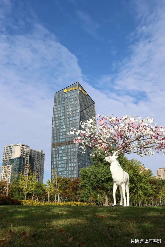 谁懂啊！这些打卡地的秋，连落叶都在教你拍照→