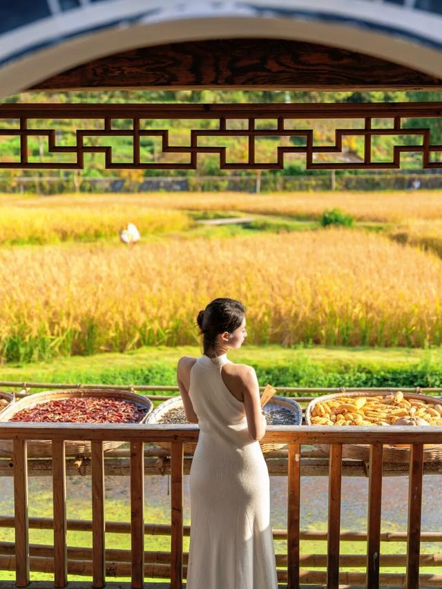 这个秋日，西递超好看的！| 皖美秋日