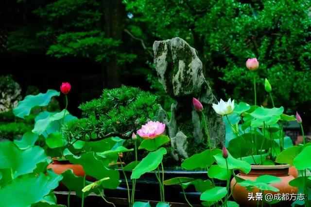 全是干货！二环路13个宝藏文化点位！逛了还想逛→