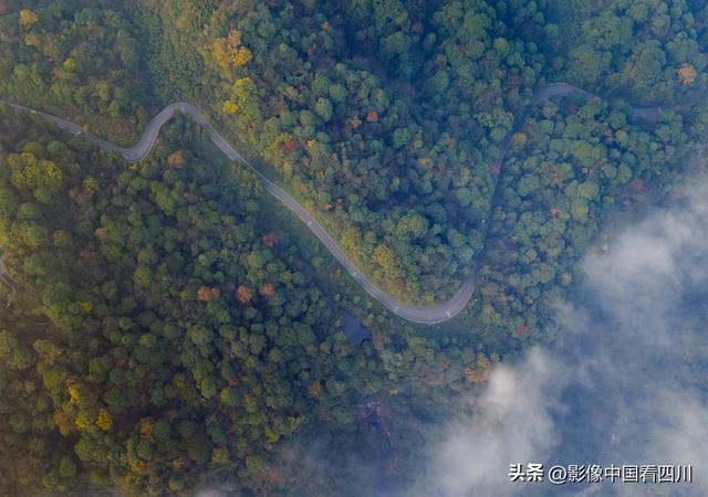 四川雅安：碧峰峡风光旖旎引客来