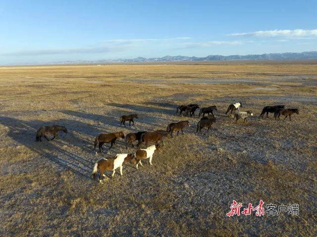 阿克塞：哈尔腾高原美景如画