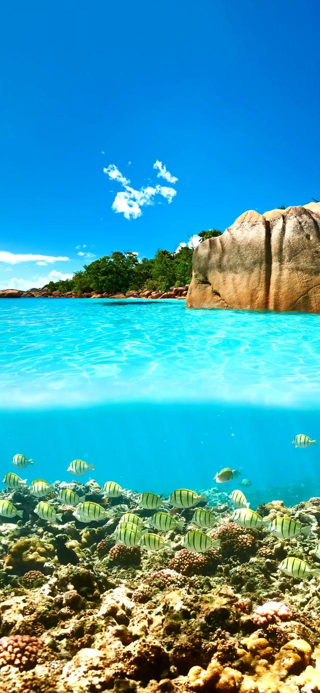 手机壁纸|海景