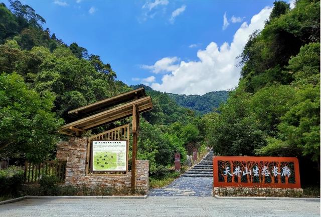 别卷作业了，卷卷大自然！韶关秋日研学，让娃成为朋友圈最酷的崽