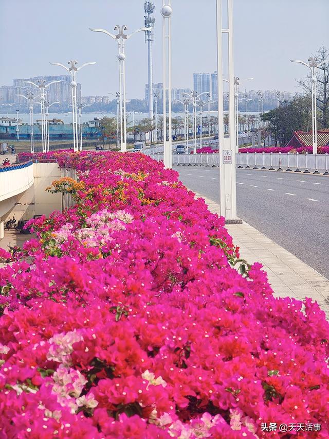 从外沙岛到高德古镇，北海最美最亲海的滨海景观道全线亮相，美！