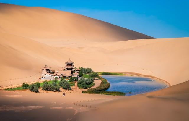 甘肃秋日限定丨三色交织的视觉盛宴，邂逅最诗意的陇原！