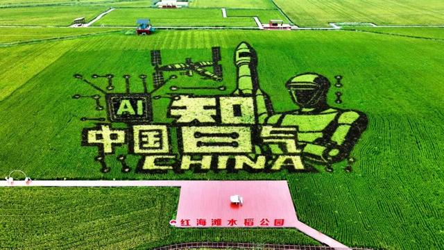 全国征集 | 2026年盘锦红海滩稻田画主题，由你来定~