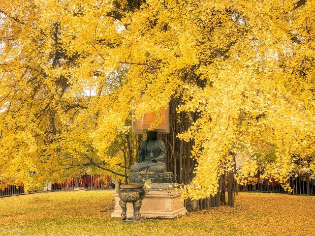 11月-12月，淡季旅行适合去的5个目的地，人少清净，秋景斑斓