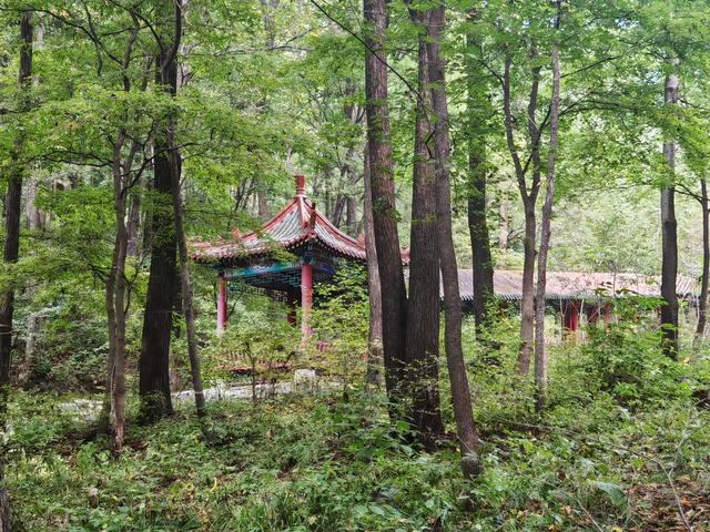 万物依道方井然——松峰山寻仙感悟（七言诗一首）