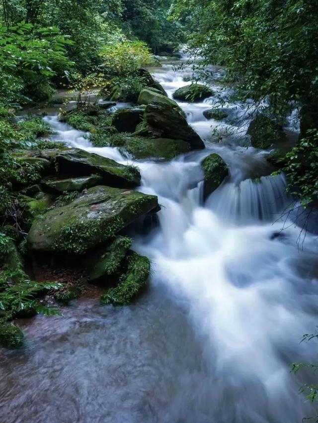秋望雨城｜在雨城北，秋老虎望而却步！