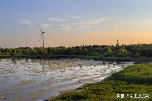 活力中国调研行 | 镜头见证→200万亩沙地绿浪奔涌，美景如画！