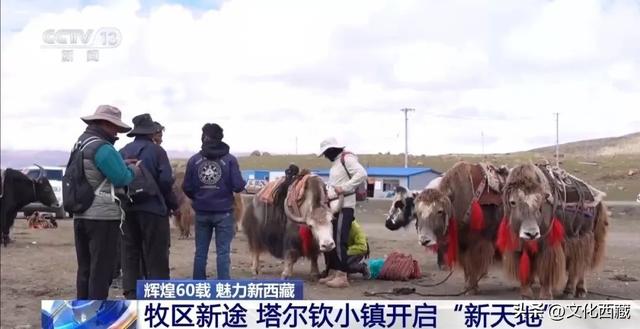 甲子西藏·文旅新章 | 冈仁波齐脚下 塔尔钦小镇开启“新天地”