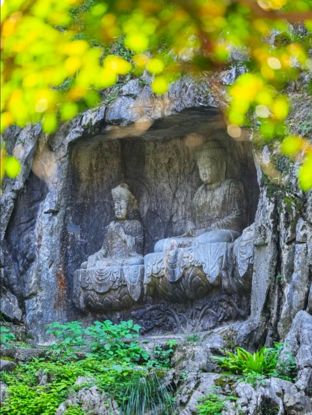 从“圈地收费’到‘还景于民”，多个景区已全免门票，你怎么看？